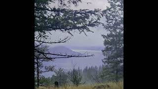 hike McCall Lakes  Peachland BC Canada  hikingadventures views britishcolumbia hiking [upl. by Haggai825]