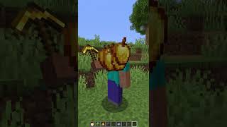 Ping Challenge vs Laggy Village shorts minecraft meme [upl. by Shing251]