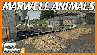 ANIMALS ON MARWELL MANOR FARM  Feeding Cleaning Production Etc  FS19 [upl. by Enoyrt865]