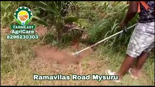 FARMEASY AGRICARE Mysore ramavilas road 4 [upl. by Euginimod131]