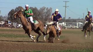 How not to play Polocrosse [upl. by Naot608]