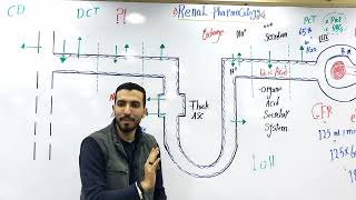 Intro Renal  Thiazide ♥ [upl. by Imik]