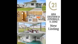 6054 CRESTVIEW LN ZEPHYRHILLS FL 33542 [upl. by Claudetta]