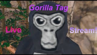 LIVE Gorilla tag with YOU [upl. by Lorry]