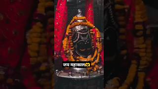 Bagh ka kalega mahadev mahakal trending viralvideo sorts ujjain instagram travel [upl. by Estey]