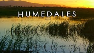 LOS HUMEDALES ECOSISTEMAS VITALES PARA EL PLANETA RAMSAR [upl. by Ytirev]