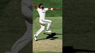 pet coming and jasprit bumrah cricket cricketnews viratkohli shorts 1millanviwes [upl. by Brinn742]