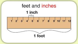 Measurement Feet and Inches [upl. by Atnoled859]