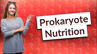 Are prokaryotes autotrophs [upl. by Nylinej]