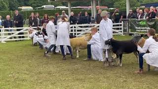 Great Yorkshire Show Video Diary Day Three Cannon Hall Farm [upl. by Kaenel]