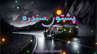 1MTiktok new trending pashtoSLOWED REVERB [upl. by Eerehc408]