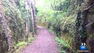 Newtyle railway walk [upl. by Yltsew]