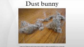 Dust bunny [upl. by Llevol]