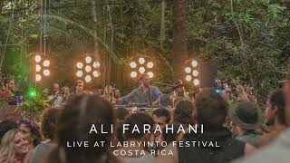 Ali Farahani Live  Labryinto Festival  Costa Rica [upl. by Ynwat]