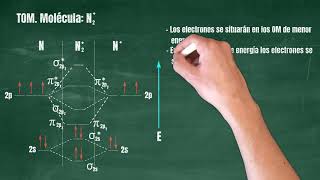 101 Teoría de Orbitales Moleculares Molécula N2 [upl. by Loydie472]