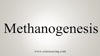 How To Say Methanogenesis [upl. by Sagerman]