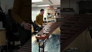 Kevin Puts Marimba Concerto Teaser [upl. by Akihdar]