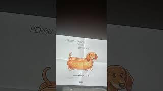 perro salchicha gordo bachicha Bad Bunny [upl. by Asirret]