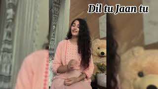 Dil Tu Jaan Tu Full Video Guitar new song lyrics [upl. by Dyann]