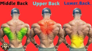 Get Wider Back Exercise Ranked Upper lower Middle Back 2025 [upl. by Rosaline978]