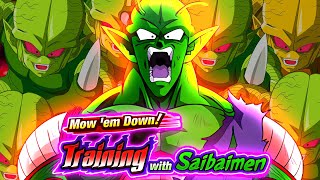 ALL MISSIONS CLEAR How To Beat Training With Saibamen Challenge Event  DBZ Dokkan Battle [upl. by Ahsilrae]