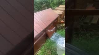 Horizontal flow hive final  honey harvest [upl. by Bitthia]