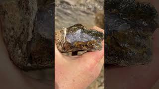 Releasing a big seam agate rockhounding arizona [upl. by Assirat]