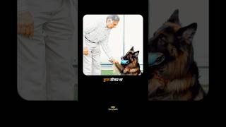 Ratan Tata Denied Prince Charles’ Award for His Dog  A True Story of Compassion  RatanTata [upl. by Lletnahc]