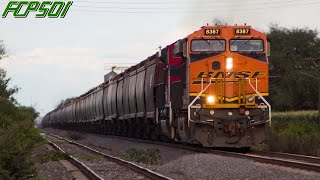 Ferrosur y BNSF de Visita en Santa Cruz El Grande Jalisco y Locomotoras de Gas [upl. by Arev557]