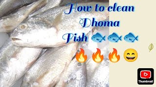 Dhoma machli kaise saaf kare How to clean Dhoma fish full video 👍😄✅😄🔥 [upl. by Catina480]