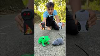 Remote control mouse 🐁 vs frog testing 🐸 [upl. by Noemi129]