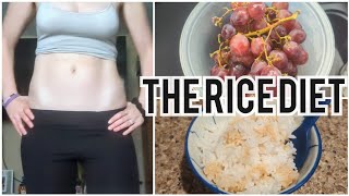 What I Ate Today on the Rice Diet  6 months postpartum  Breastfeeding [upl. by Cos]