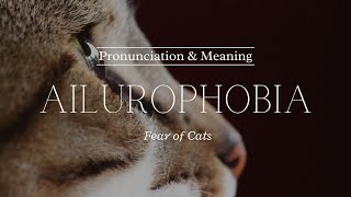 How to Pronounce Ailurophobia  British Pronunciation amp Meaning [upl. by Lewiss]