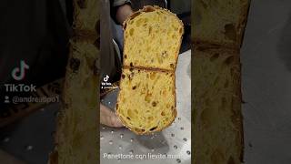 Hai già provato la ricetta panettone sul canalecosa aspetti food panettone sourdough [upl. by Woodward]