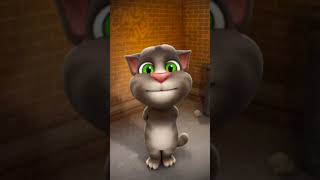 khalasi catytalking khalasi shorts song cat cartoon talkingtom music caty youtubeshorts [upl. by Notsuh]