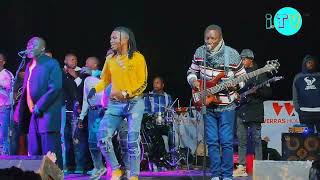 Alick Macheso Latest Song Yakaita mafans waya  Siyanai naye Macheso Hit Song Coming Soon🔥🔥🎸 [upl. by Socem]