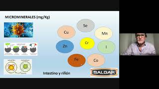 NUEVO DATO el momento más rendidor para dar SALES MINERALES [upl. by Grace]