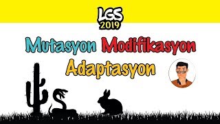 Mutasyon Modifikasyon Adaptasyon  8 Sınıf [upl. by Eilyab905]