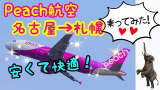 Peach航空に乗ってみた 中部国際空港ー新千歳空港 [upl. by Kcyrred873]