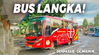 Bus GUNUNG HARTA Medium Belum Ada di YouTube Emang Langka Trip Murah Denpasar  Gilimanuk [upl. by Macomber372]