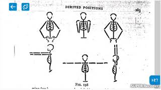 Derived positions part 1 Dena gardiner MjeeLectures Mjee Kinesiology [upl. by Oiuqise]