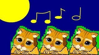 3 Katzen beten amp heulen den Mond an oO Kein Fake Lustiges Erlebnis Folge 002 [upl. by Zach]