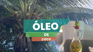 Como Tirar Óleo de Coco em Grande Quantidade Hellen Rose [upl. by Yecats439]