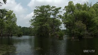 Merchants Millpond State Park  NC Weekend  UNCTV [upl. by Glanti]