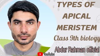 types of apical meristem what are the types of apical meristem in urduhindi class 9th biology [upl. by Atinad]