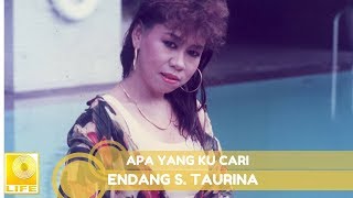 Endang S Taurina  Apa Yang Ku Cari Official Audio [upl. by Atinuahs]