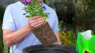 How to Pot a Plant with Use Potting Mix [upl. by Kerns]