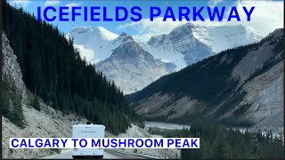 ICEFIELDS PARKWAY  MOST SCENIC DRIVE IN THE WORLD  ALBERTA CANADA [upl. by Erdnaid]