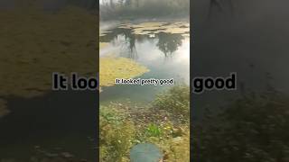 Fishing at a golf course fishing funk illegalfishing lure [upl. by Larrad644]