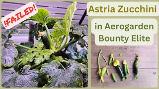 Failed Growing Astria Zucchini in Aerogarden Bounty Elite Hydroponics System Container variety [upl. by Barmen]